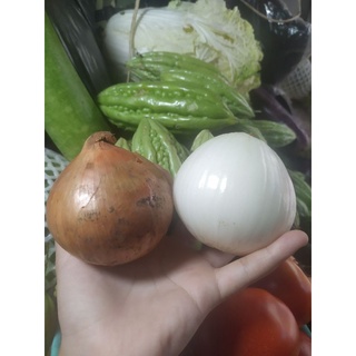 [NOW TPHCM] Rau củ tươi tphcm