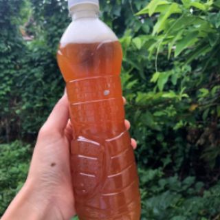 Quả bồ hòn/ bột bồ hòn
