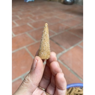 Nụ hoàng đàn