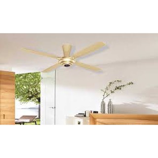 [GIAN HÀNG UY TÍN] [HÀNG CHÍNH HÃNG] Quạt trần Panasonic F-56MZG