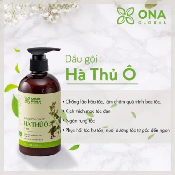 Dầu gội thảo dược hà thủ ô 2 in 1 cỏ cây hoa lá 300ml