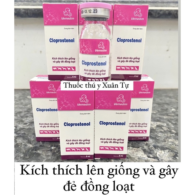 1 lọ CLOPROSTENOL 5ml dùng cho trâu bò heo nái, chó mèo cái