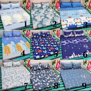 Bộ chăn ga gối 3 món ( được chọn mẫu)