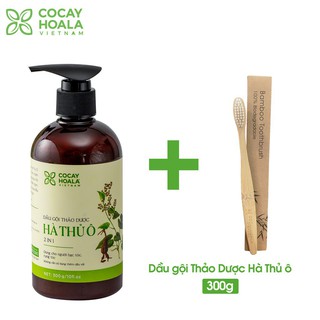 Dầu Gội Hà Thủ Ô 2in1 Giảm Rụng Tóc Bạc Tóc Cocayhoala 300g