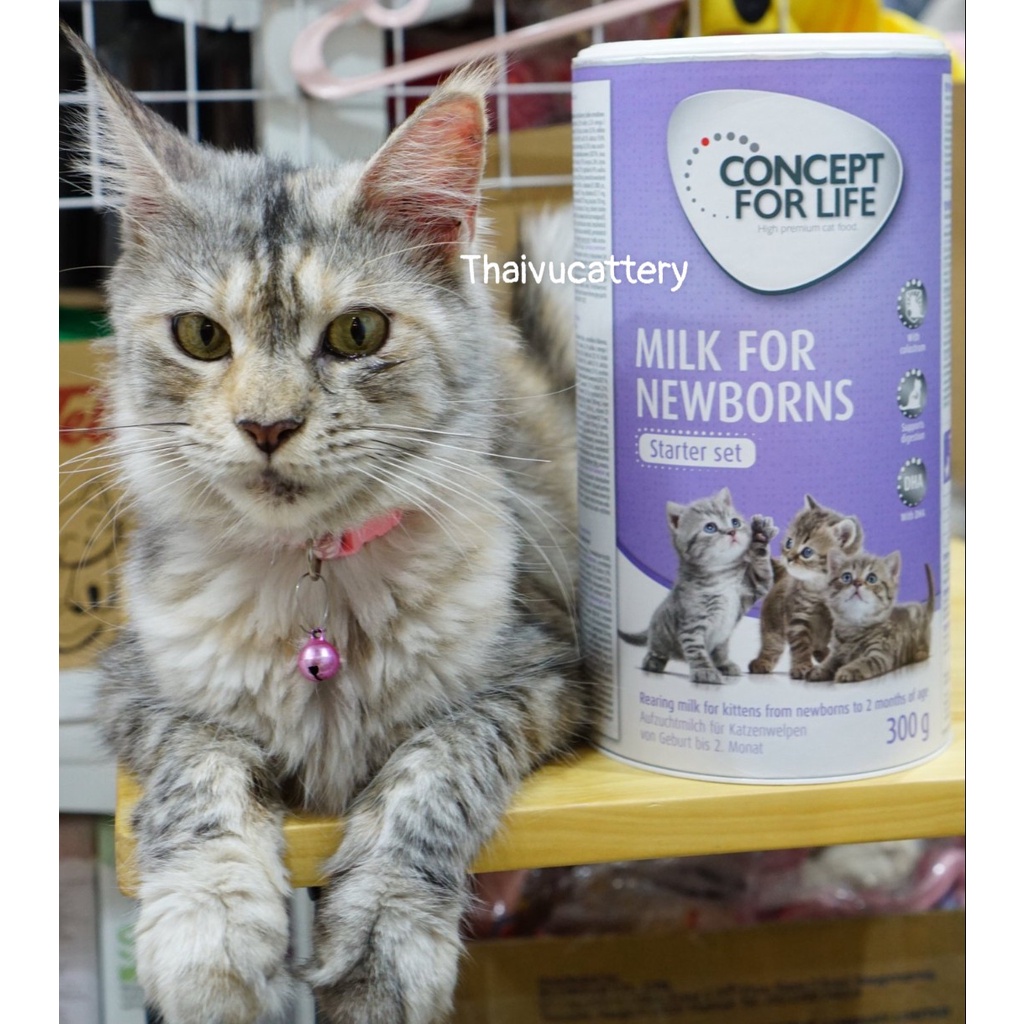 Sữa cho mèo sơ sinh và mèo mẹ Concept For Life 300gr nhập Đức Chính Hãng