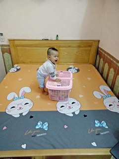 GA CHỐNG THẤM COTTON GOODMAMA
