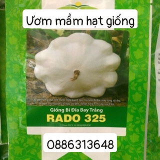 Hạt giống Bí đĩa bay vàng (1g)