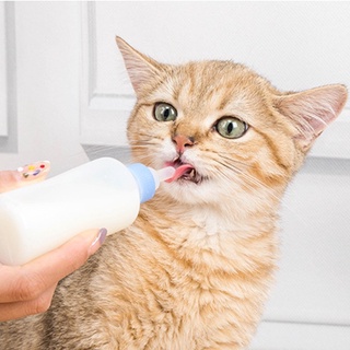 Bình ti sữa cho chó mèo 60ml