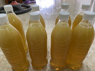 MẬT ONG BẠC HÀ CHUẨN RỪNG