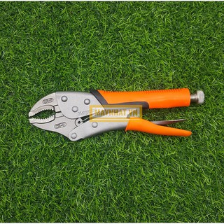 Kìm chết Nhật bản Kapusi chữ dập chìm thân kìm