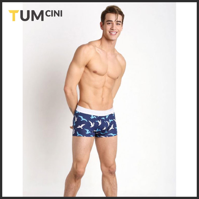 Quần lót nam cotton sịp đùi cao cấp sang trọng quý phái Hero Pink Tumcini HP03