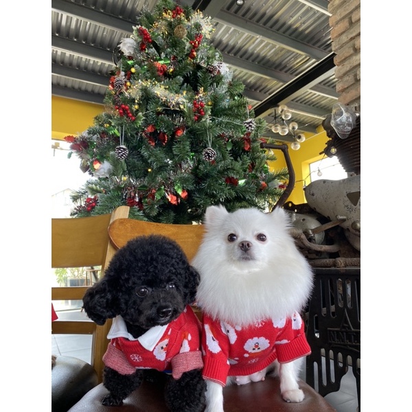 ÁO LEN NOEL CHO THÚ CƯNG