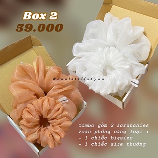 Hộp 2 sản phẩm scrunchies voan phồng - BOX 2