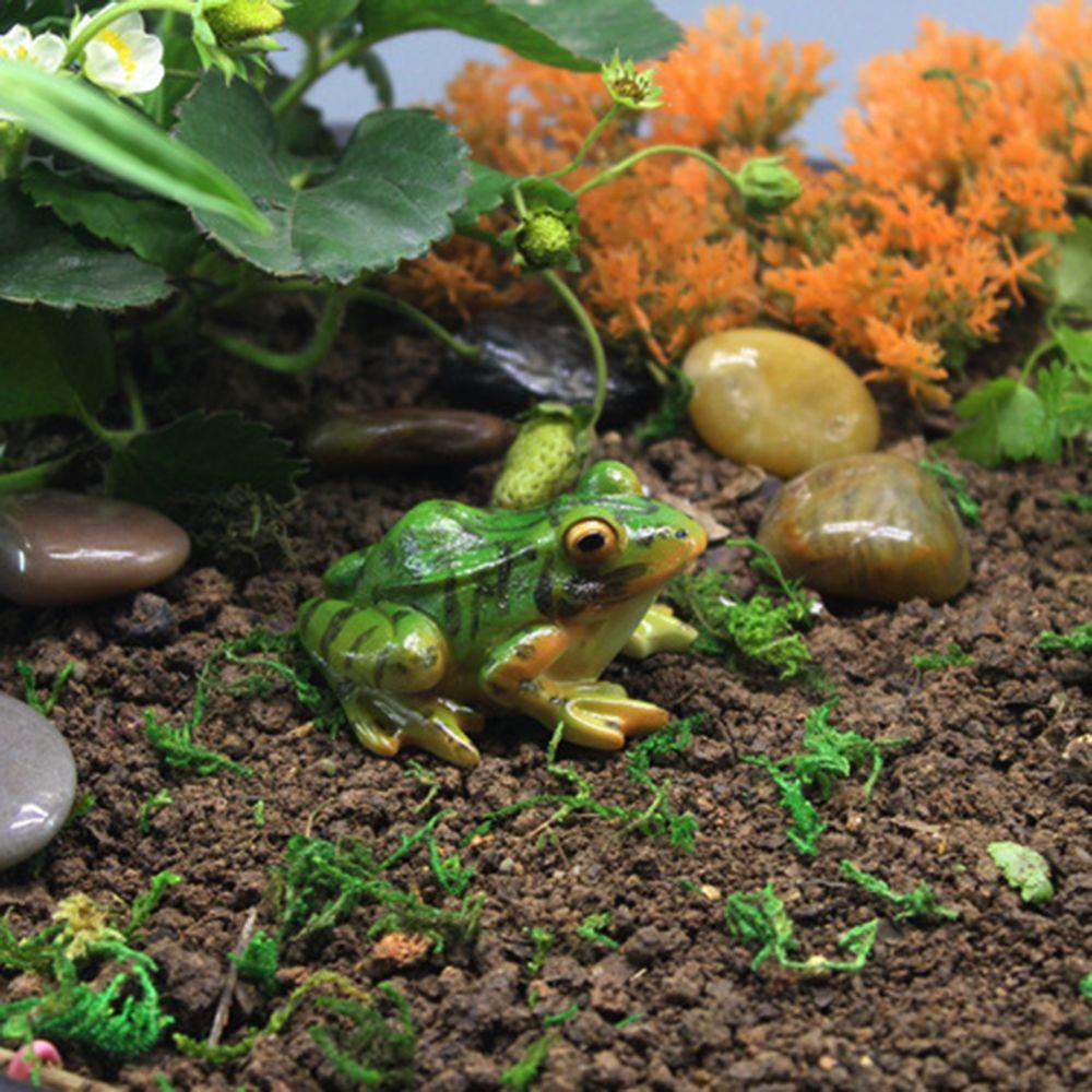 Set 24 Tượng Ếch Handmade Mini Trang Trí Tiểu Cảnh / Trong Nhà / Ngoài Trời