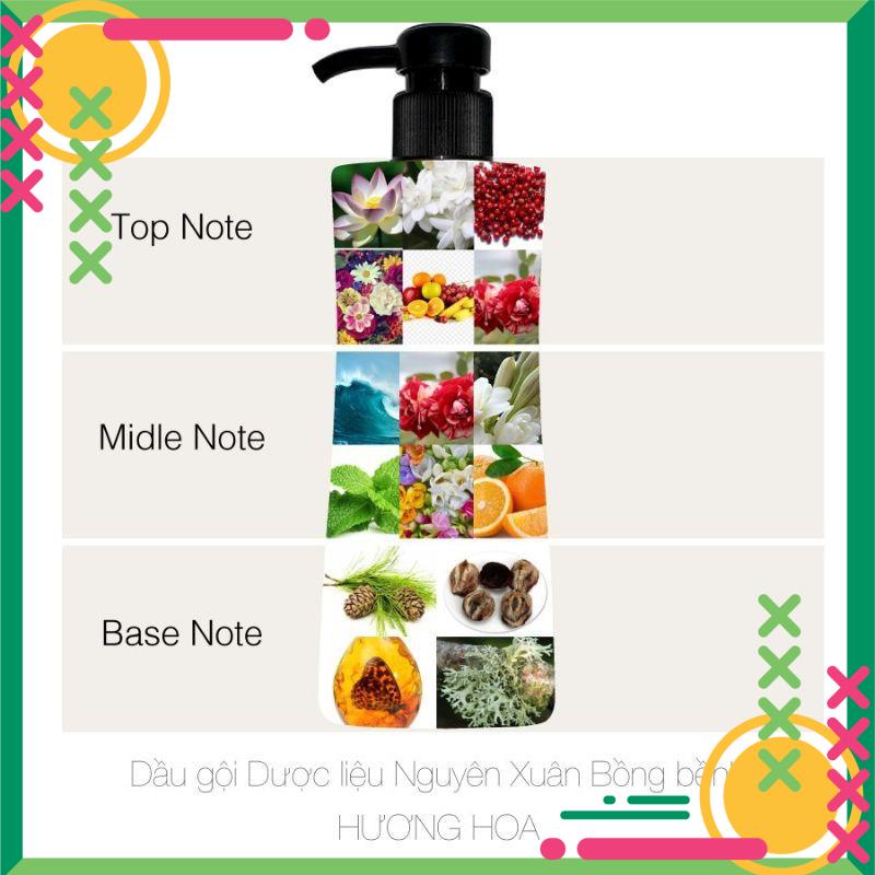 Dầu gội Dược liệu Nguyên Xuân Bồng bềnh Hương hoa. Phù hợp cho tóc dầu, tóc bết gói lẻ.