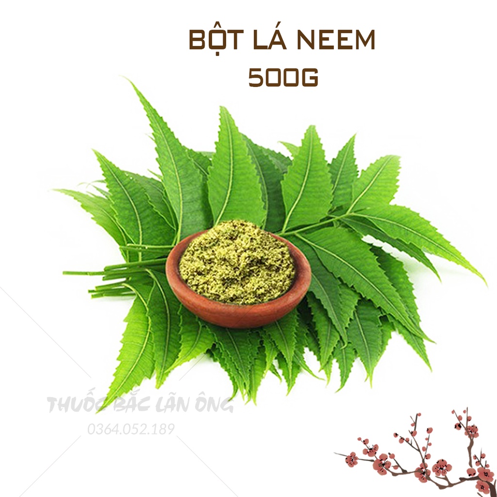 Bột lá neem Ẩn Độ 500g (Lá vông neem kháng khuẩn, ngăn ngừa mụn)