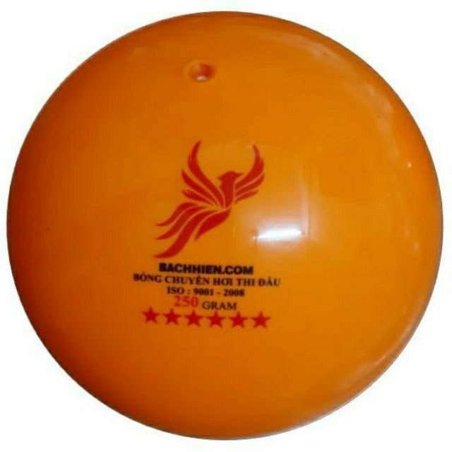 Bóng chuyền hơi 250 gram 6 sao tặng kim bơm
