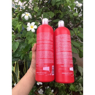 Cặp gội xả Bed head tigi 750ml