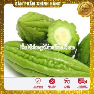 Hạt Giống Mướp Đắng( Khổ Qua) Thái Lan 10 Hạt