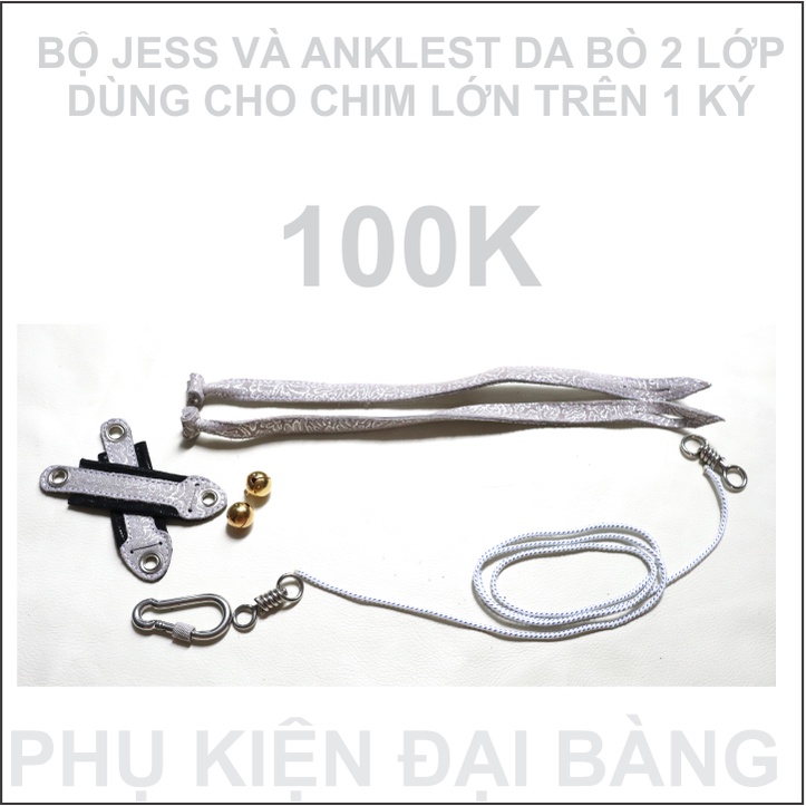 Bộ dây chân đại bàng ưng trống | BigBuy360 - bigbuy360.vn