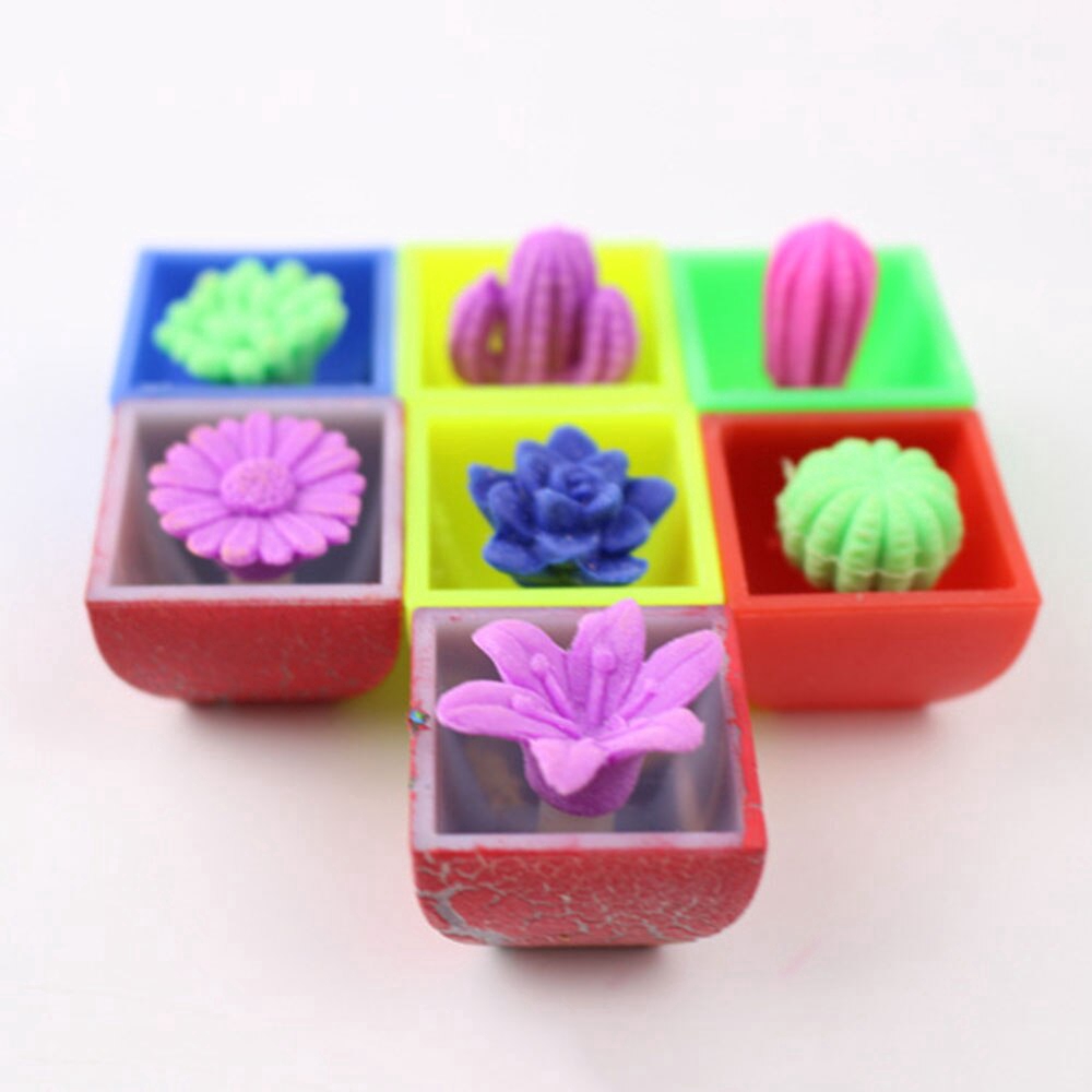 Đồ chơi xương rồng ngâm nước 48 mẫu đáng yêu