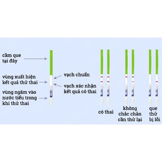 ✅ Que thử thai Quickstick