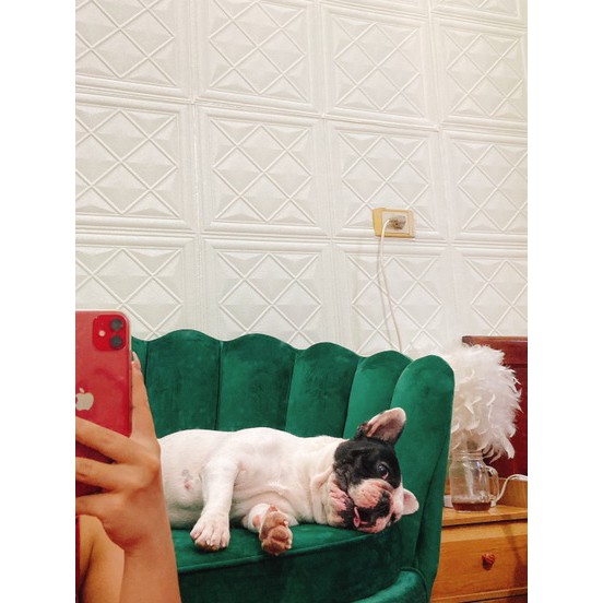 Xốp Dán Tường Giả Da P8 Dày 8mm - Phủ bóng cao cấp | BigBuy360 - bigbuy360.vn