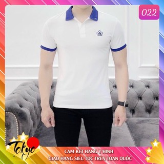 Áo Thun Nam Cao Cấp, Chất liệu thun cao cấp co giãn dày dặn thấm hút mồ hôi tốt Tokyo029 Có Nhiều Mẫu