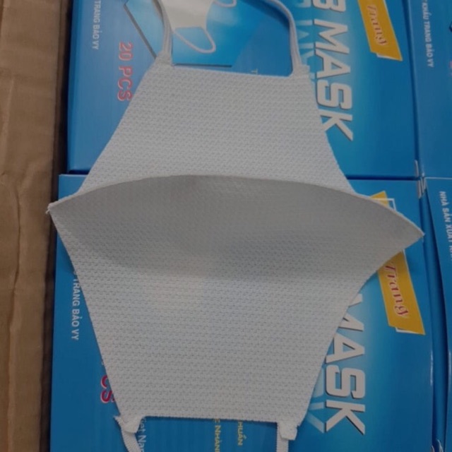 KHAU TRANG VAI 3D R3