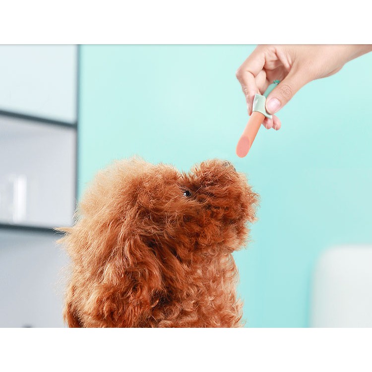 XÚC XÍCH DINH DƯỠNG RAU CỦ CHO CHÓ MÈO