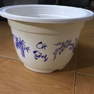5 chậu trồng cây - Chậu trồng hoa, trồng rau Cát Tường  size 28 x19 cm