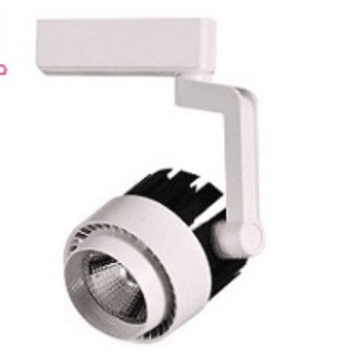 Đèn rọi 30w trắng chuyên dụng bán cạn