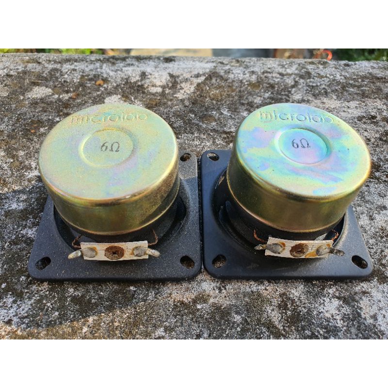 Loa vệ tinh Microlab tháo máy 2 chiếc rời