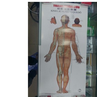 Tranh châm cứu 5 tờ y tế nguyệt anh