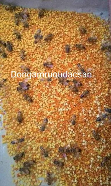 PHẤN HOA MẬT ONG RỪNG TỰ NHIÊN 1KG