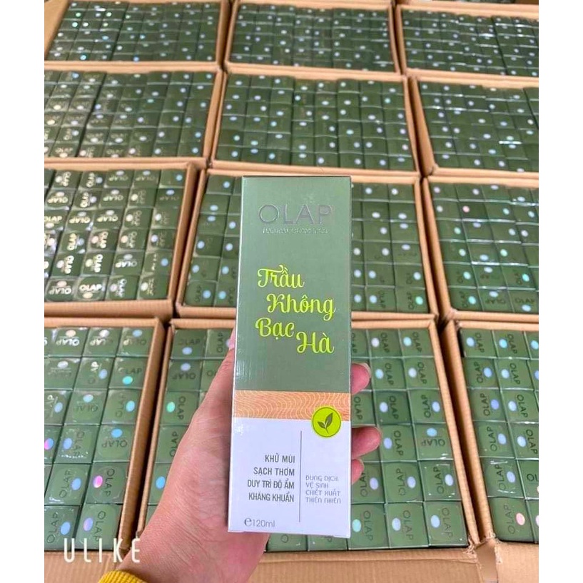 Dung Dịch Vệ Sinh Trầu Không Bạc Hà Olap 120ml