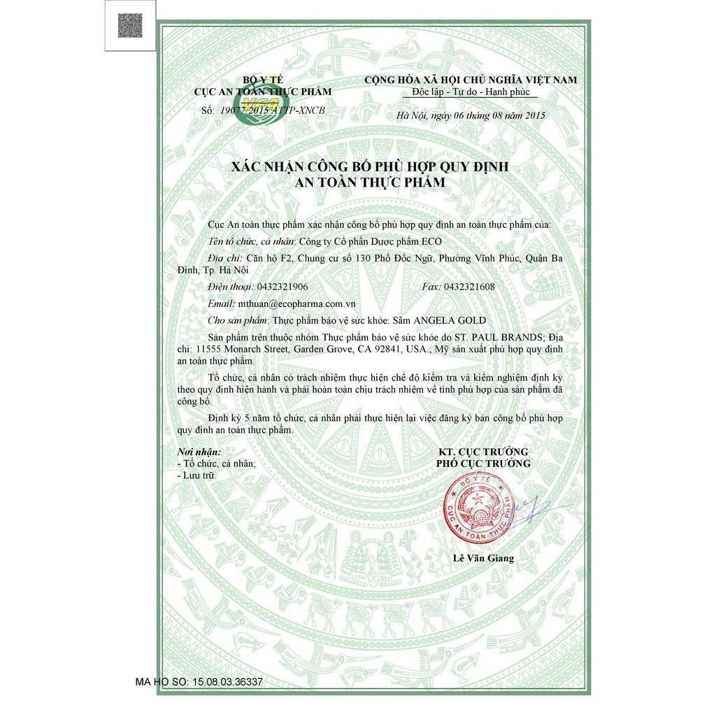 Combo 2 Hộp dùng 2 Tháng Sâm Angela Gold Hộp 60 Viên | BigBuy360 - bigbuy360.vn