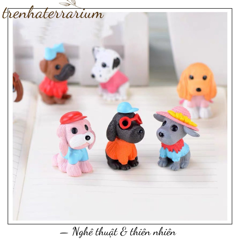 Tiểu cảnh những chú chó thời trang so cool trang trí DIY, terrarium