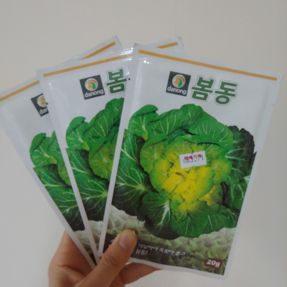 Hạt giống rau cải xanh Dongdong Hàn Quốc - Tỷ lệ nãy mầm 95%