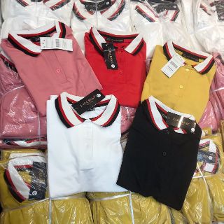 Combo sỉ áo và túi