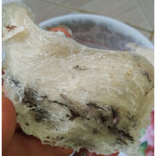 Yến Sào Thô Nha Trang - 10g (1 tổ to)