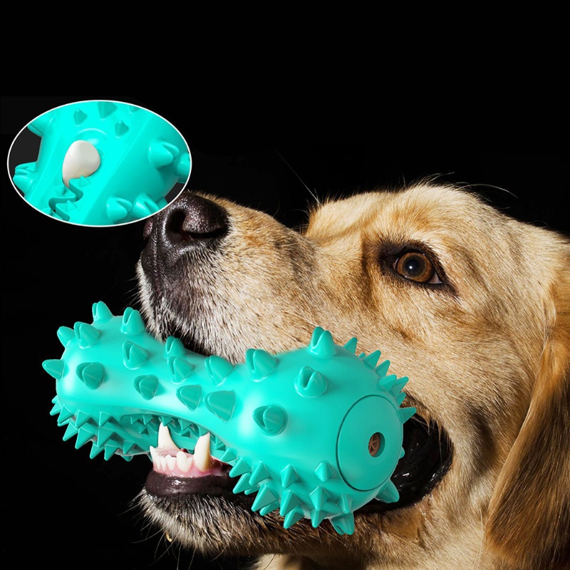 Đồ Chơi Nhai Gặm Cho Thú Cưng Cỡ Vừa Và Lớn