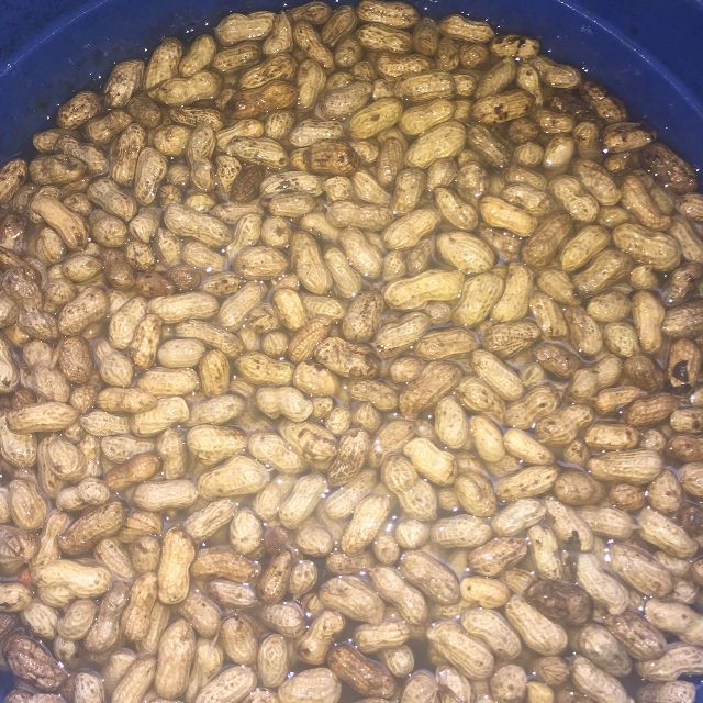 500 gram lạc đỏ