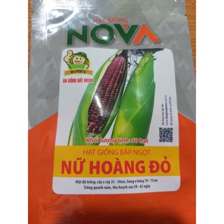 Hạt Giống Bắp Ngọt Nữ Hoàng Đỏ (50 hạt), Bắp Tím Nova Nữ hoàng đỏ, hạt giống Ngô tím