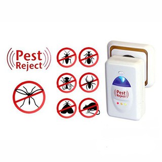 DỤNG CỤ ĐUỔI CHUỘT