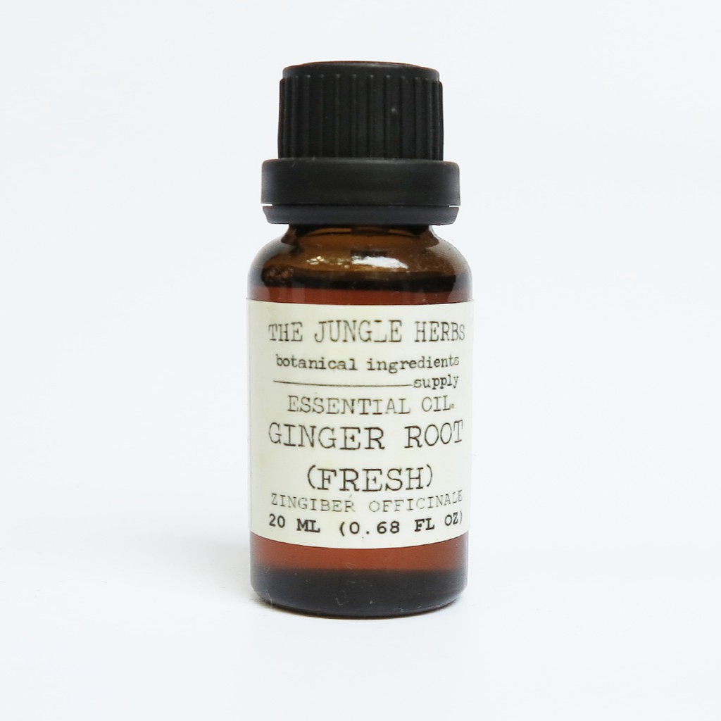 TINH DẦU GỪNG TƯƠI (FRESH GINGER ROOT ESSENTIAL OIL)