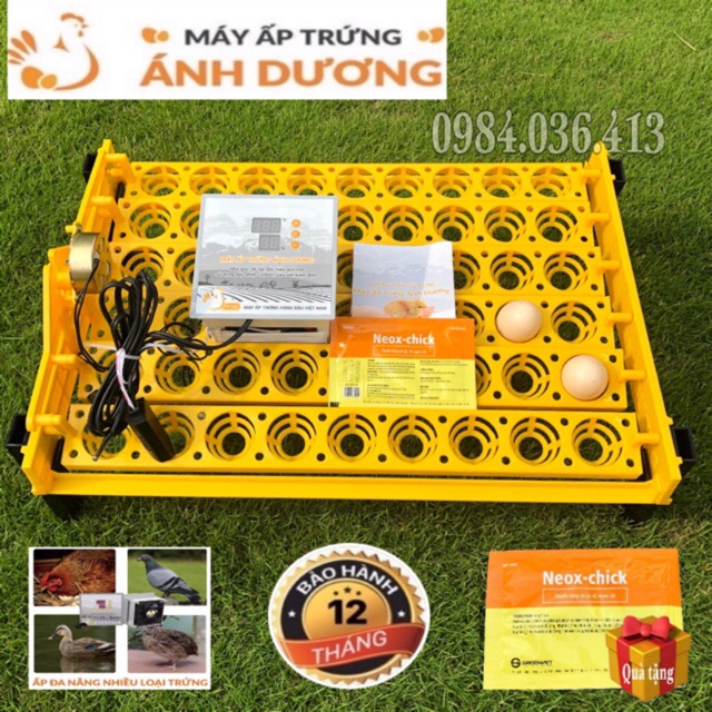 Máy ấp trứng mini Ánh Dương P100 kèm khay đảo tự động 54 trứng - máy tự lắp thùng xốp