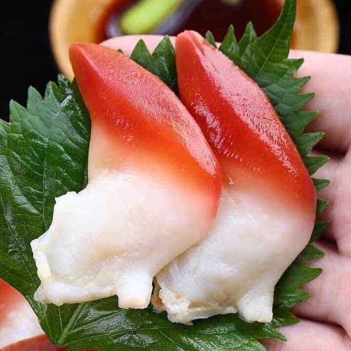 SÒ ĐỎ HOKKIGAI NHẬT BẢN hiệu NISSI / MÓN ĂN SASHIMI