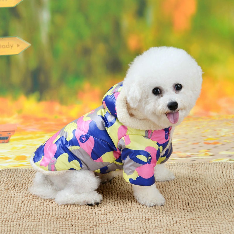 Quần áo cho chó con thu đông mèo Bichon Chihuahua và mèo, đệm bông cộng với vải nhung dày nhỏ