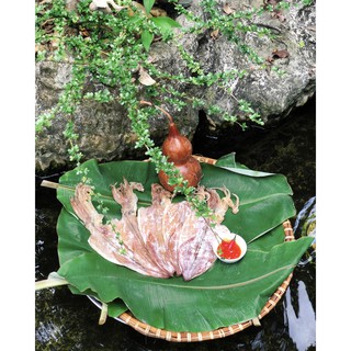 [QUAD TẶNG]]  Mực Câu Khô Cửa Lò Size MINI